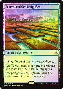 Irrigated Farmland
Amonkhet (Foil) - French
Single
Magic The Gathering