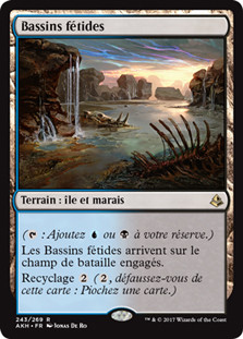 Fetid Pools
Amonkhet - French
Single
Magic The Gathering