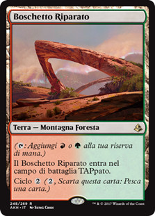 Sheltered Thicket
Amonkhet - Italian
Single
Magic The Gathering