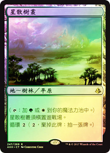 Scattered Groves
Amonkhet (Foil) - Chinese Traditional
Single
Magic The Gathering