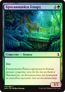 Pouncing Cheetah
Amonkhet (Foil) - Russian
Single
Magic The Gathering