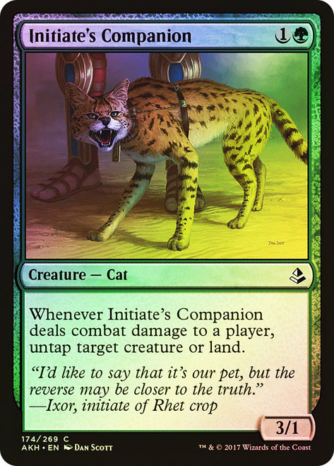 Initiate's Companion\nAmonkhet\nSingle\nMagic The Gathering