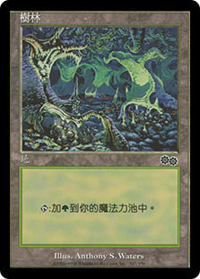 Forest (#347)
Urza's Saga - Chinese Traditional
Single
Magic The Gathering