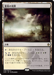 Fetid Heath
Masters 25 - Japanese
Single
Magic The Gathering