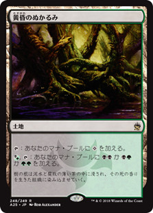Twilight Mire
Masters 25 - Japanese
Single
Magic The Gathering