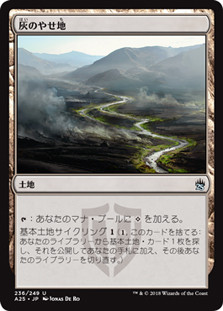 Ash Barrens
Masters 25 - Japanese
Single
Magic The Gathering