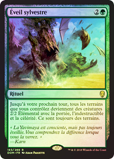 Sylvan Awakening
Dominaria (Foil) - French
Single
Magic The Gathering