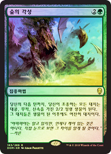 Sylvan Awakening
Dominaria (Foil) - Korean
Single
Magic The Gathering
