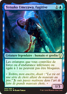 Tetsuko Umezawa, Fugitive
Dominaria (Foil) - French
Single
Magic The Gathering