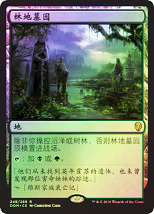 Woodland Cemetery
Dominaria (Foil) - Chinese Simplified
Single
Magic The Gathering