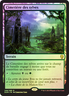 Woodland Cemetery
Dominaria (Foil) - French
Single
Magic The Gathering