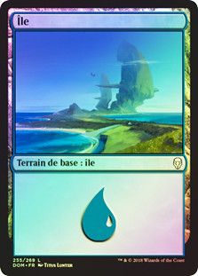 Island (#255)
Dominaria (Foil) - French
Single
Magic The Gathering