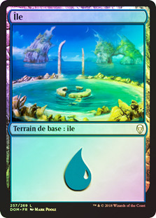 Island (#257)
Dominaria (Foil) - French
Single
Magic The Gathering