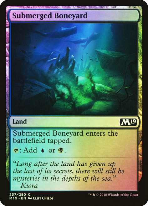 Submerged Boneyard\nCore Set 2019\nSingle\nMagic The Gathering