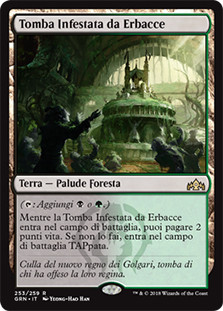 Overgrown Tomb
Guilds of Ravnica - Italian
Single
Magic The Gathering