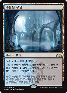 Watery Grave
Guilds of Ravnica - Korean
Single
Magic The Gathering