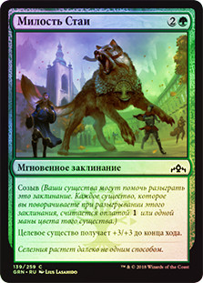 Pack's Favor
Guilds of Ravnica (Foil) - Russian
Single
Magic The Gathering