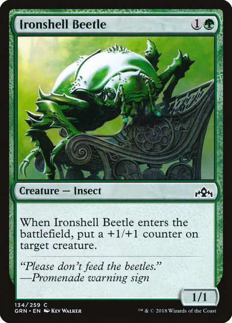 Ironshell Beetle\nGuilds of Ravnica\nSingle\nMagic The Gathering