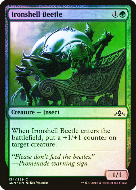 Ironshell Beetle\nGuilds of Ravnica\nSingle\nMagic The Gathering