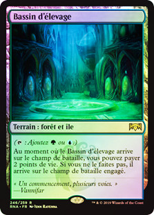 Breeding Pool
Ravnica Allegiance (Foil) - French
Single
Magic The Gathering