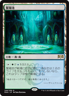 Breeding Pool
Ravnica Allegiance - Japanese
Single
Magic The Gathering