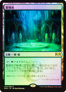 Breeding Pool
Ravnica Allegiance (Foil) - Japanese
Single
Magic The Gathering