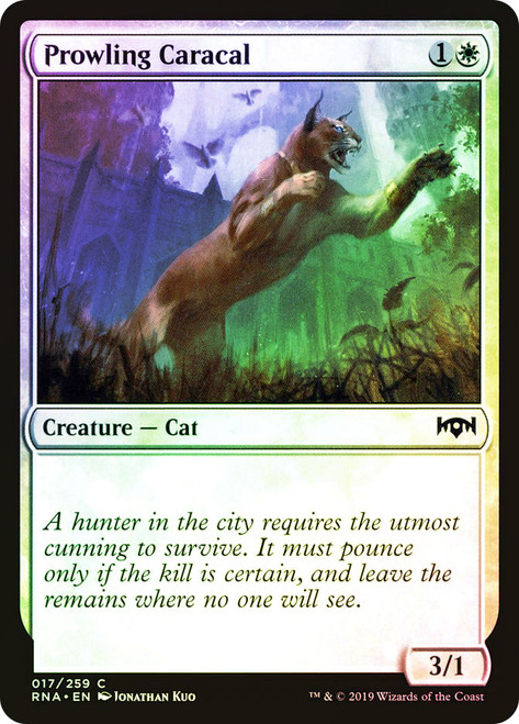 Prowling Caracal\nRavnica Allegiance\nSingle\nMagic The Gathering