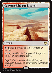 Sunbaked Canyon
Modern Horizons - French
Single
Magic The Gathering
