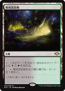 Nurturing Peatland
Modern Horizons - Japanese
Single
Magic The Gathering