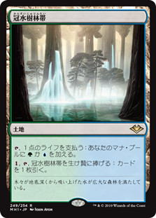 Waterlogged Grove
Modern Horizons - Japanese
Single
Magic The Gathering