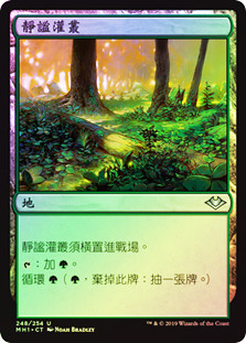 Tranquil Thicket
Modern Horizons (Foil) - Chinese Traditional
Single
Magic The Gathering