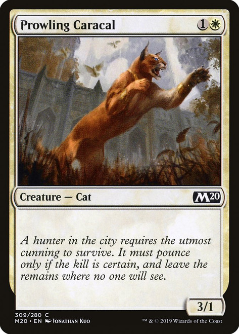 Prowling Caracal (Starter Kit) (Welcome Deck)\nCore Set 2020\nSingle\nMagic The Gathering