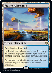 Prairie Stream
Commander: 2019 Edition - French
Single
Magic The Gathering
