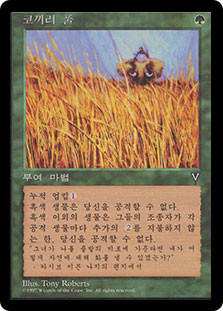 Elephant Grass
Visions - Korean
Single
Magic The Gathering