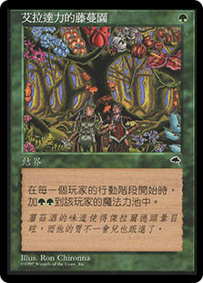 Eladamri's Vineyard
Tempest - Chinese Traditional
Single
Magic The Gathering