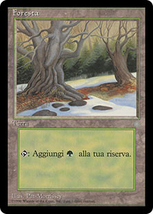 Forest (C)
Ice Age - Italian
Single
Magic The Gathering