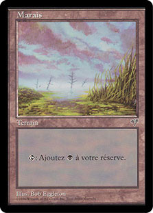 Swamp (D)
Mirage - French
Single
Magic The Gathering
