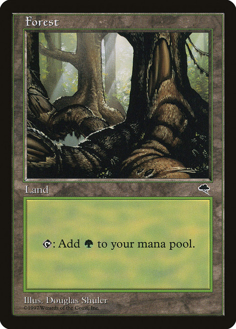 Forest (C)\nTempest\nSingle\nMagic The Gathering