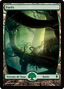 Forest (#246) (Full Art)
Zendikar - French
Single
Magic The Gathering