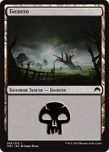 Swamp (#263)
Magic Origins - Russian
Single
Magic The Gathering