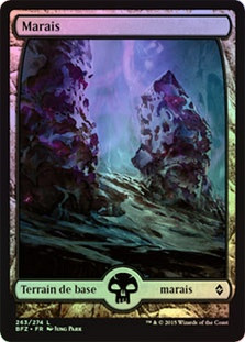 Swamp (#263) (Full Art)
Battle for Zendikar (Foil) - French
Single
Magic The Gathering