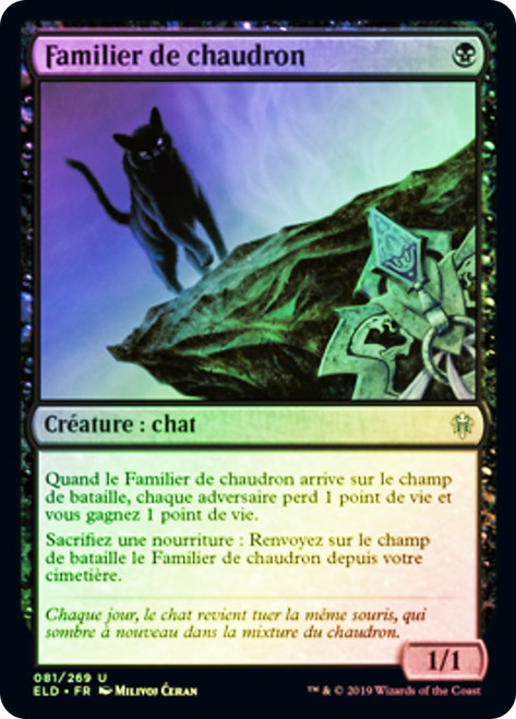 Cauldron Familiar
Throne of Eldraine - French
Single
Magic The Gathering