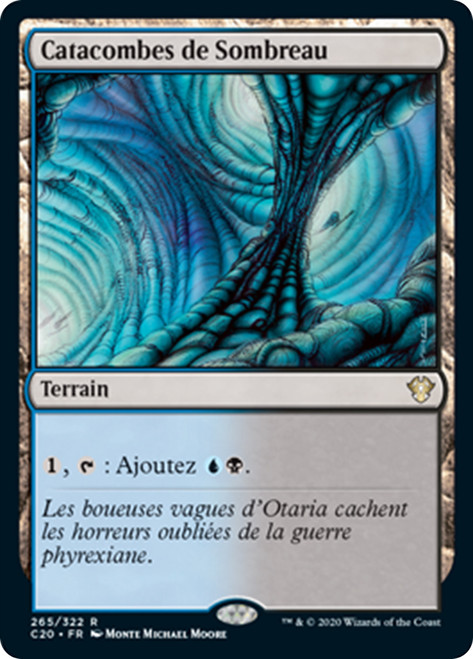 Darkwater Catacombs [SGL-MTG-C20-265-FRN]