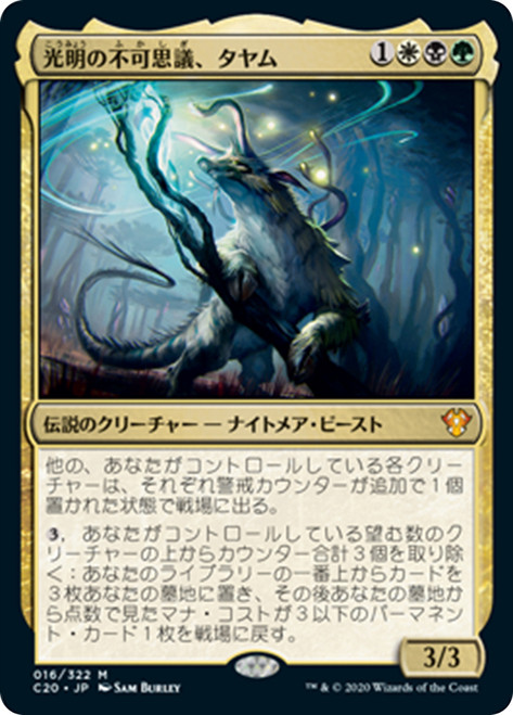 Tayam, Luminous Enigma | Commander 2020 - Japanese | Star City Games