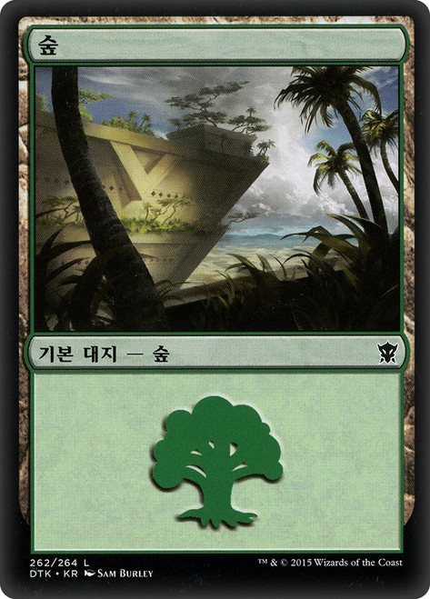 Forest (#262)
Dragons of Tarkir
Single
Magic The Gathering