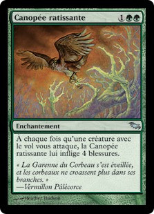 Raking Canopy
Shadowmoor
Single
Magic The Gathering