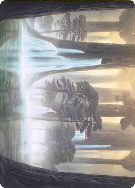 {Waterlogged Grove Art Card}\nArt Series\nSingle\nMagic The Gathering