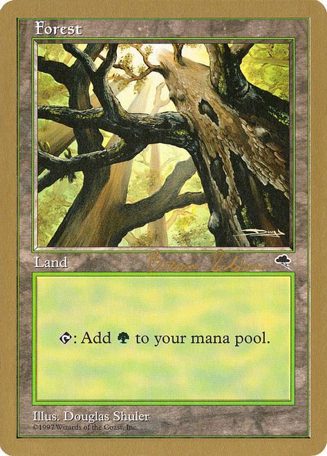 Forest (1998 Brian Selden) (Tempest) (A) (Not Tournament Legal)\nWorld Championship\nSingle\nMagic The Gathering