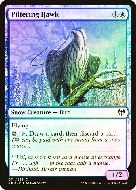 Pilfering Hawk\nKaldheim\nSingle\nMagic The Gathering