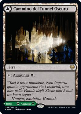 Darkbore Pathway // Slitherbore Pathway
Kaldheim - Italian
Single
Magic The Gathering